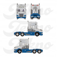 Proline Transport